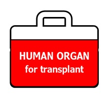Why Organ Transplant Is Much Worse Than You Think  — The Bad, the Worse, and the Ugly